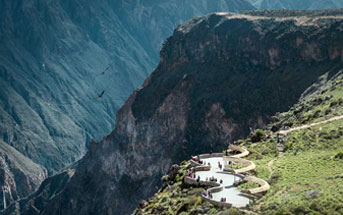 AREQUIPA CON COLCA 04 DIAS - 03 NOCHES
