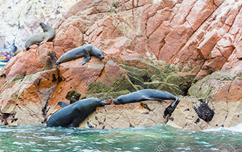 FULL AVENTURA PARACAS - ICA