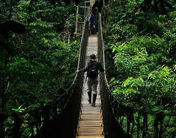 CUMACEBA LODGE 4 DIAS / 3 NOCHES