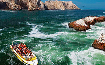 FULL DAY PARACAS