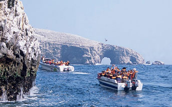 PARACAS BASICO 02 DIAS - 01 NOCHE